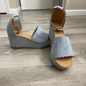 Brand New Charlotte Russe Wedges